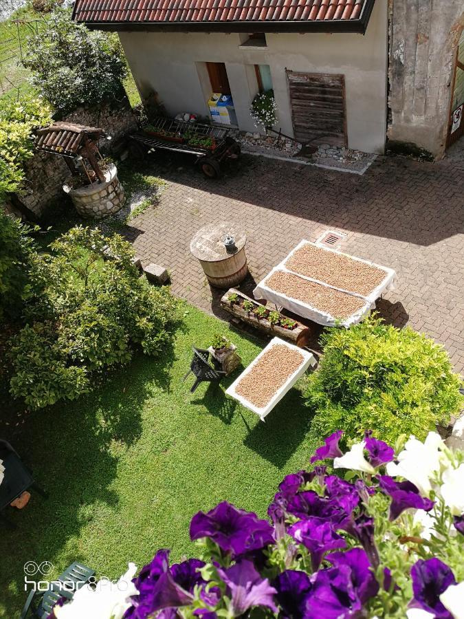 Agriturismo Antica Pieve Limana Екстериор снимка